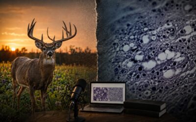 A Virus Behind the Mask of Prions: What Dr. Laura Manuelidis Wants Every Deer Hunter to Know About CWD